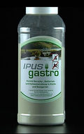 IPUS gastro